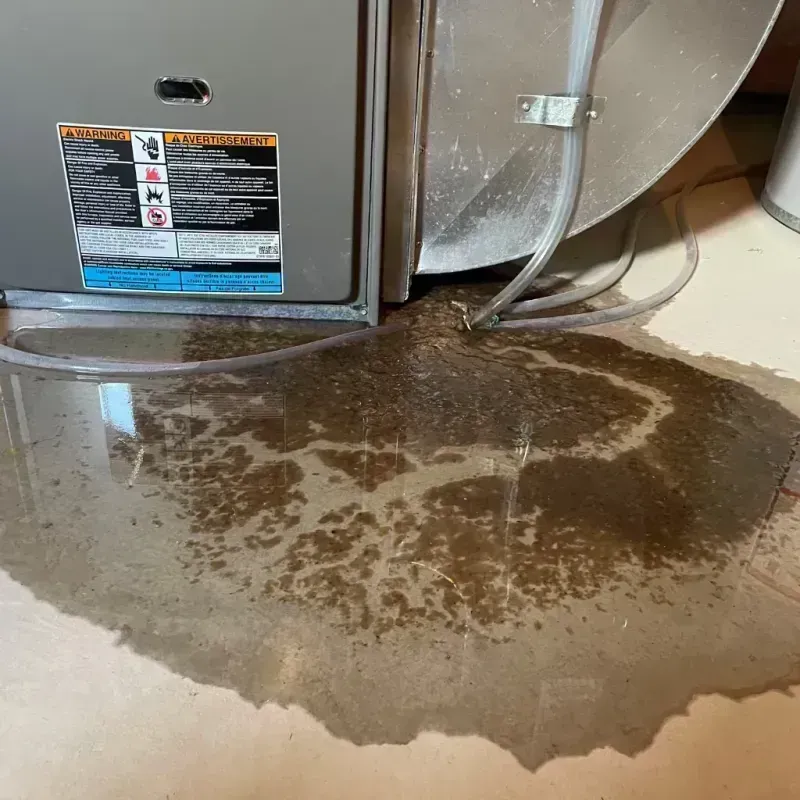 Appliance Leak Cleanup in Turley, OK